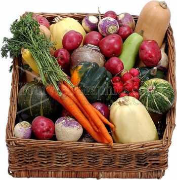 photo - veggie-basket-jpg